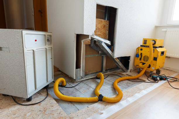 Forensic Mold Investigation in Altadena, CA